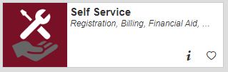 Screen Shot of Self Service Button Under MyNIC Self Service