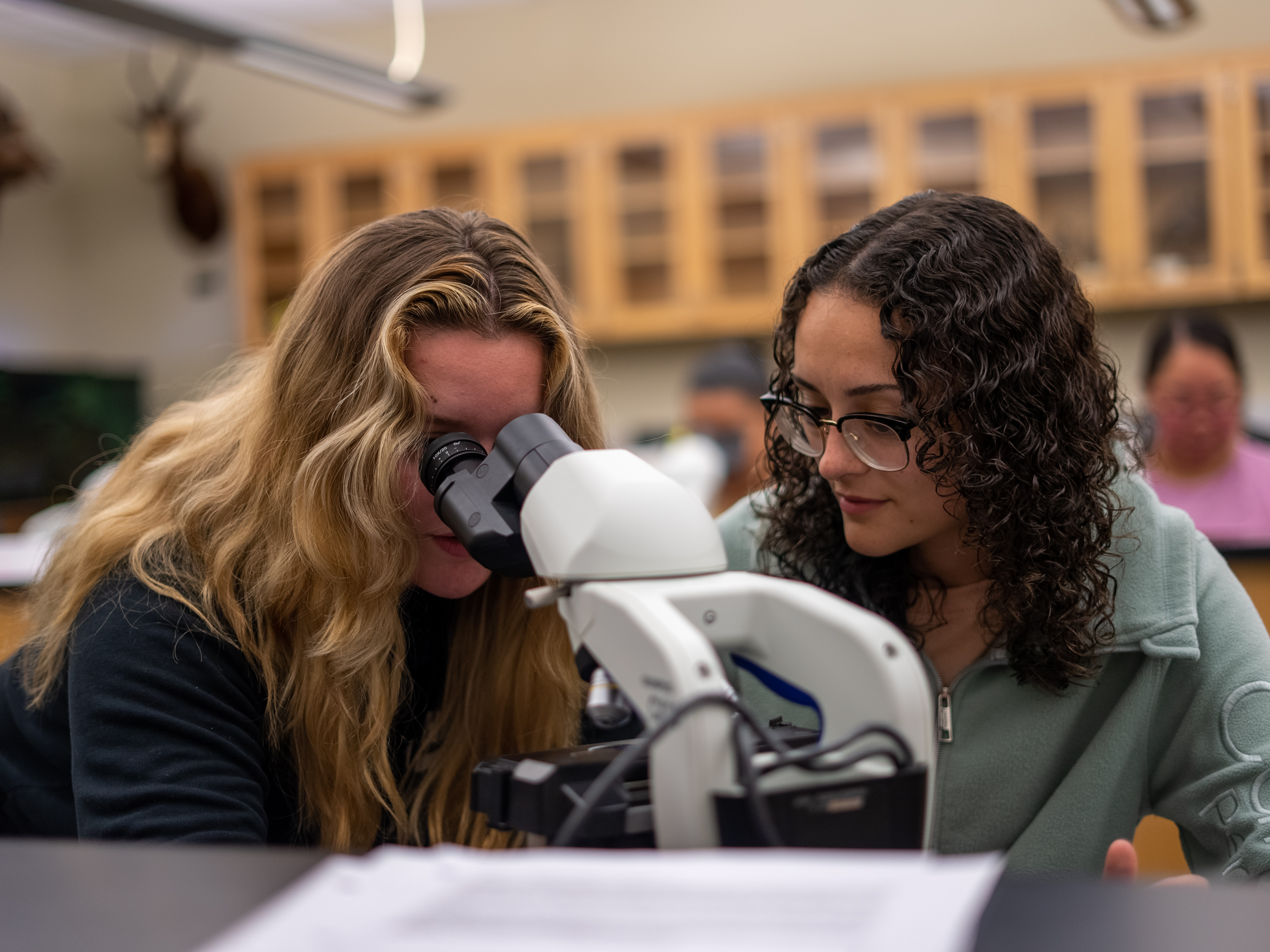 Students looking into a microscope