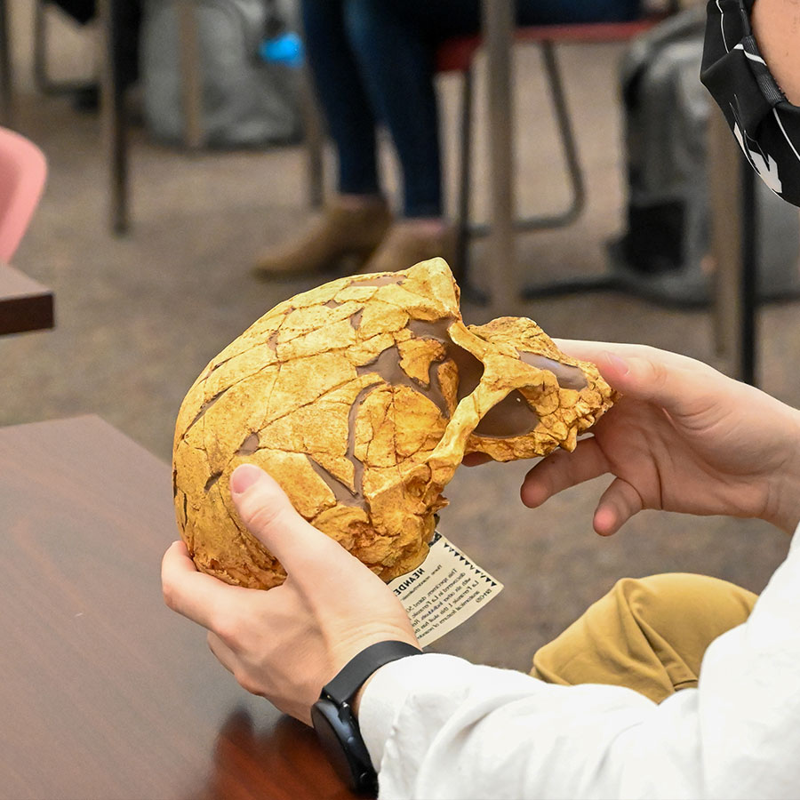 Student holding a human skull