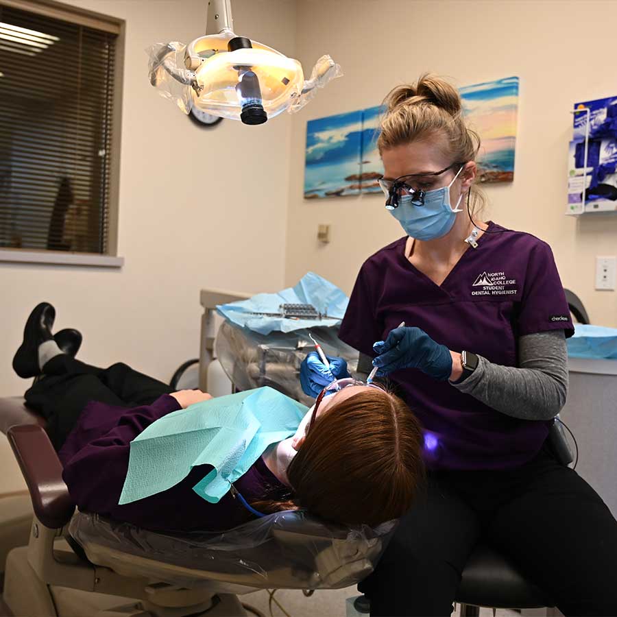 Dental Hygienist working with patient
