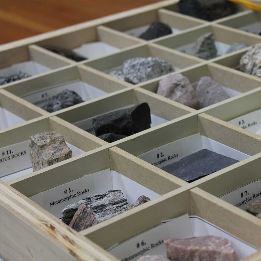 Sorted rocks in geology class