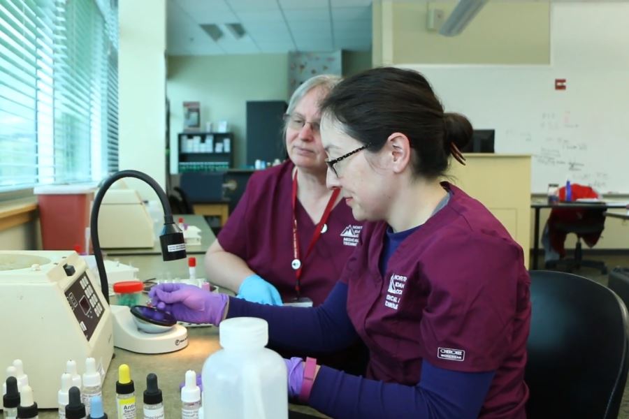 Student and professor examining lab results